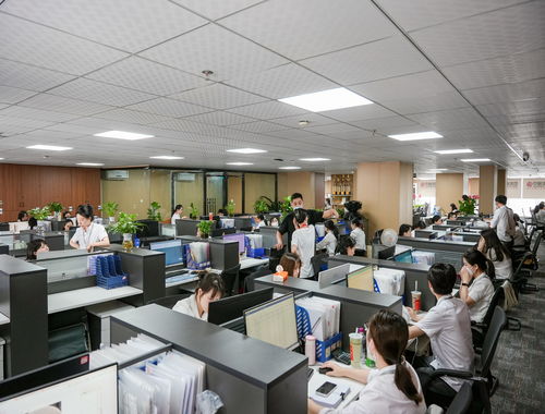 2026年四川企業(yè)如何選擇代理記賬 五大服務(wù)商深度測評與選型指南