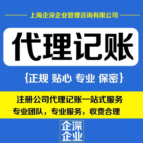 專業(yè)嘉定區(qū)財(cái)務(wù)代理與商務(wù)代理代辦服務(wù)助力企業(yè)發(fā)展